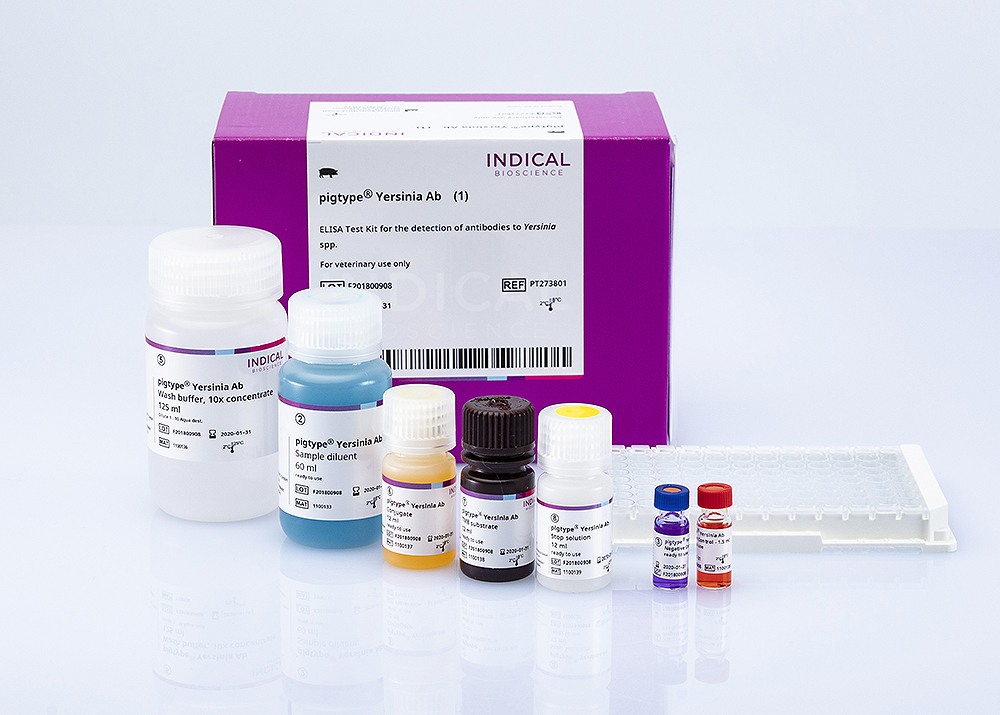 pigtype Yersinia Ab (1 ELISA plate)
