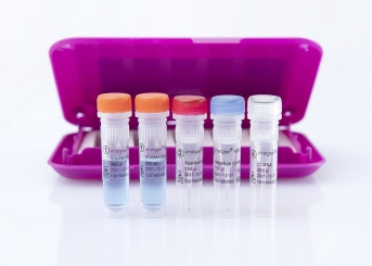 virotype ASFV 2.0 PCR Kit (96 reactions)
